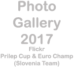 Photo Gallery 2017