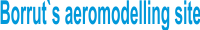 boruts logo